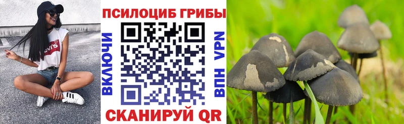 Галлюциногенные грибы Psilocybe  Клин 